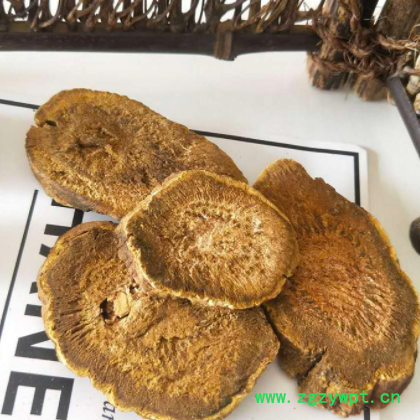 马蹄黄中药材大黄片甘肃马蹄大黄片马蹄黄粉散装批发大黄片图2