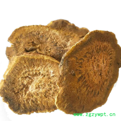 马蹄黄中药材大黄片甘肃马蹄大黄片马蹄黄粉散装批发大黄片图3