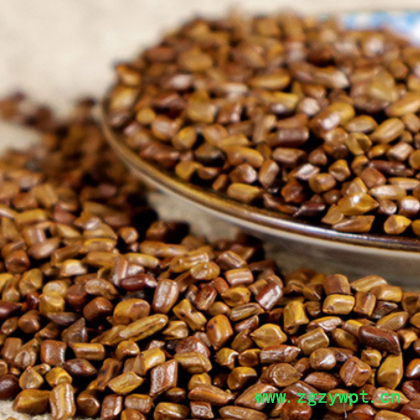 厂家批发决明子 决明子袋泡茶儿童玩具沙枕头填充物 散装现货供应图3