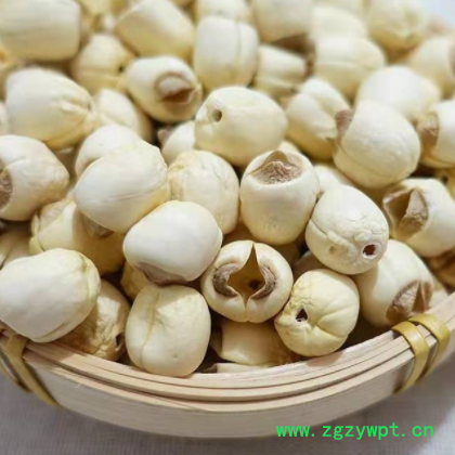 莲子去芯磨皮白莲子湘莲白莲子多规格现货源头货源白莲子图2