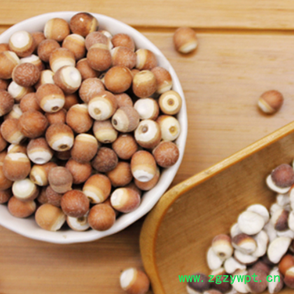 芡实 中药材批发肇庆芡实散装芡实米 五谷杂粮芡实微山湖北芡实图2
