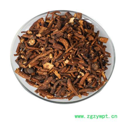 长白山蒲公英根中药材大货公英根茶婆婆丁批发蒲公英根农产品加工图2