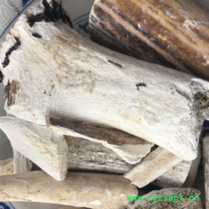 厂家直供鹿茸片 鹿角片泡酒煲汤滋补鹿茸片 现货批发图3