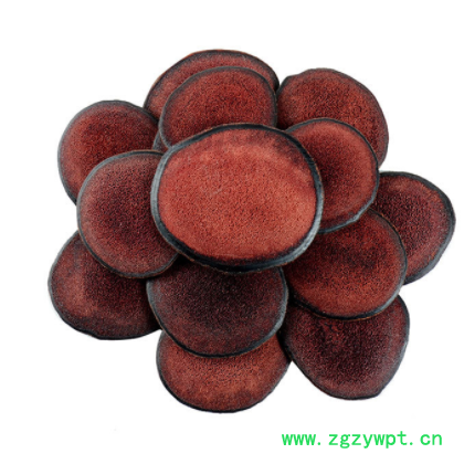 厂家直供鹿茸片 鹿角片泡酒煲汤滋补鹿茸片 现货批发图2