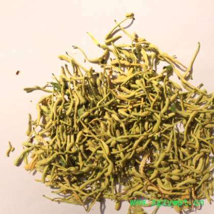 直销选装金银花 金银花花草 河南一茬金银花山银花图2