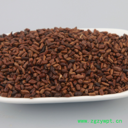 大货批发决明子散装 挑选决明子 现货量大从优厂家货源图2