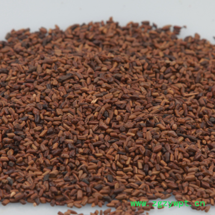 大货批发决明子散装 挑选决明子 现货量大从优厂家货源图3