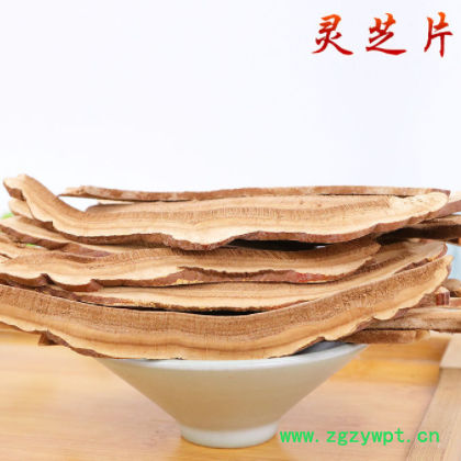灵芝片图3