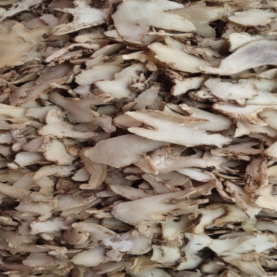 白芨个子片子白芨中药材大货批发可免费打粉