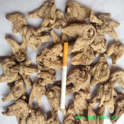 白芨个子片子白芨中药材大货批发可免费打粉图2