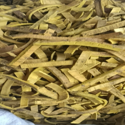 批发黄柏 多种规格川黄柏量大从优承接大货黄柏