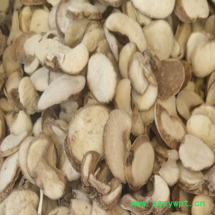 厂家直发浙贝母大贝个子大贝片子可免费打粉一件代发图2