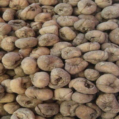 厂家直发浙贝母大贝个子大贝片子可免费打粉一件代发