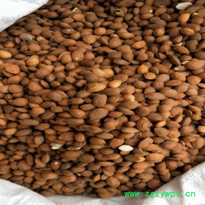 桃仁 山桃仁 家桃仁 毛桃仁 新货可免费打粉厂家一件代发图2