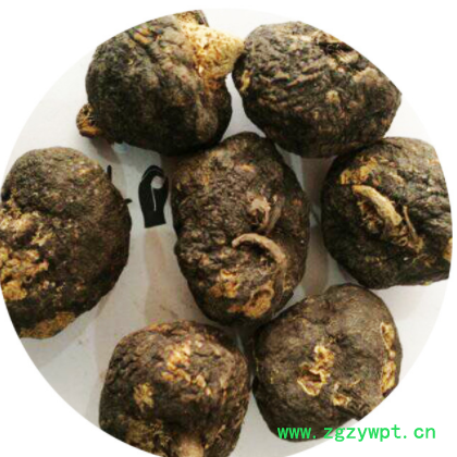 黑玛咖大果 云南丽江黑玛卡干果 中药材大货批发零售图3