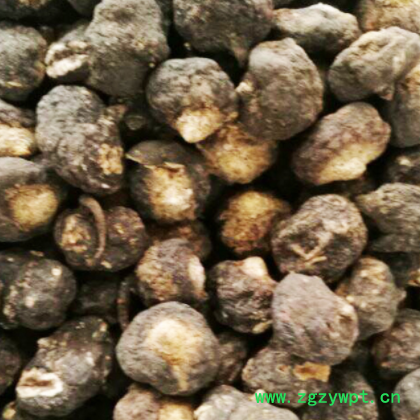 黑玛咖大果 云南丽江黑玛卡干果 中药材大货批发零售图2