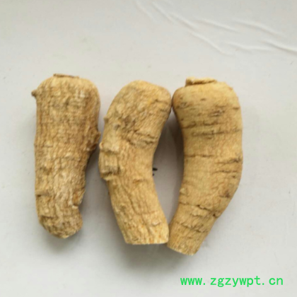 东北西洋参条批发零售 长白山参段 选货 散装图2