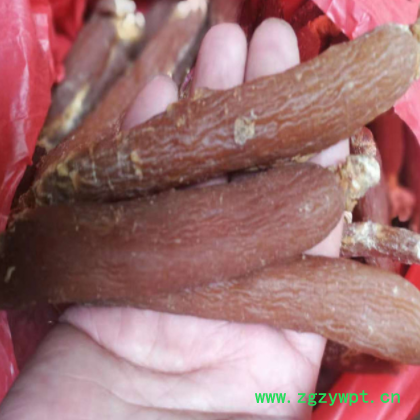 东北吉林长白山人参条 红参棒 整条足干 各种规格 中药材批发图2