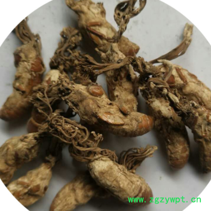 中药材 金蝉花 蝉蛹草 蝉茸 散装批发供应 各种规格图3