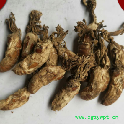 中药材 金蝉花 蝉蛹草 蝉茸 散装批发供应 各种规格图2