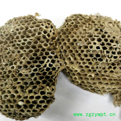 批发供应中药材 蜂房 露蜂房 马蜂窝 各种规格图2