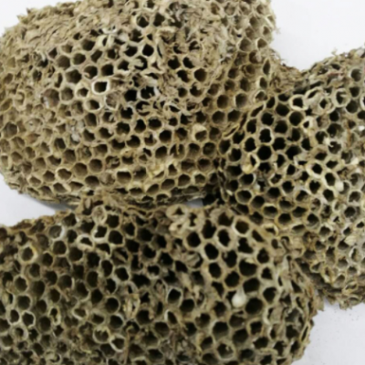 批发供应中药材 蜂房 露蜂房 马蜂窝 各种规格