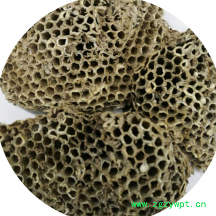 批发供应中药材 蜂房 露蜂房 马蜂窝 各种规格图3