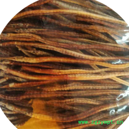 供应海龙 干货 六角海龙 散装 中药材批发图2