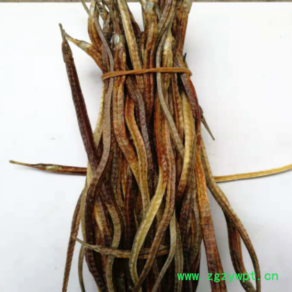 供应海龙 干货 六角海龙 散装 中药材批发图3