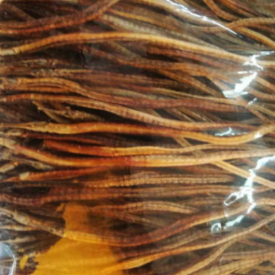 供应海龙 干货 六角海龙 散装 中药材批发