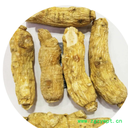 西洋参 花旗参 短枝 亳州中药材批发零售图2