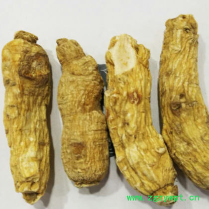 西洋参 花旗参 短枝 亳州中药材批发零售图3