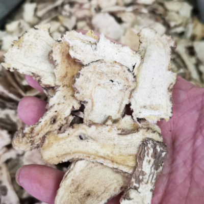 中药材批发 当归头 甘肃岷县 当归头片 散装 各种规格