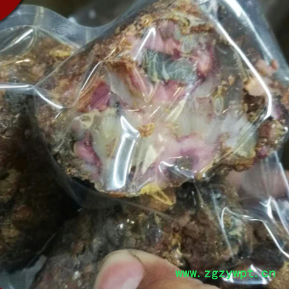 阿魏 新疆臭阿魏 中药材供应 五彩药用 钓鱼诱饵五花阿魏图2