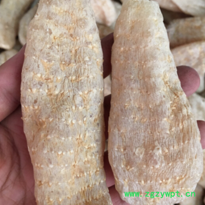 红天麻野生干货云南小草坝无硫昭通500g克 天麻批发图2