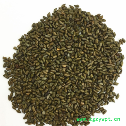 决明子 抛光除尘除杂质 充足货源批发 价格合理 枕头玩具沙适用图2