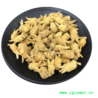 长白山西洋参 小个开叉参类滋补品东北西洋参粒头短粒500g图3