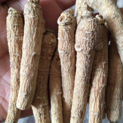 西洋参条 西洋参片批发 一件代发整枝粒头花旗参条切片泡茶煮汤