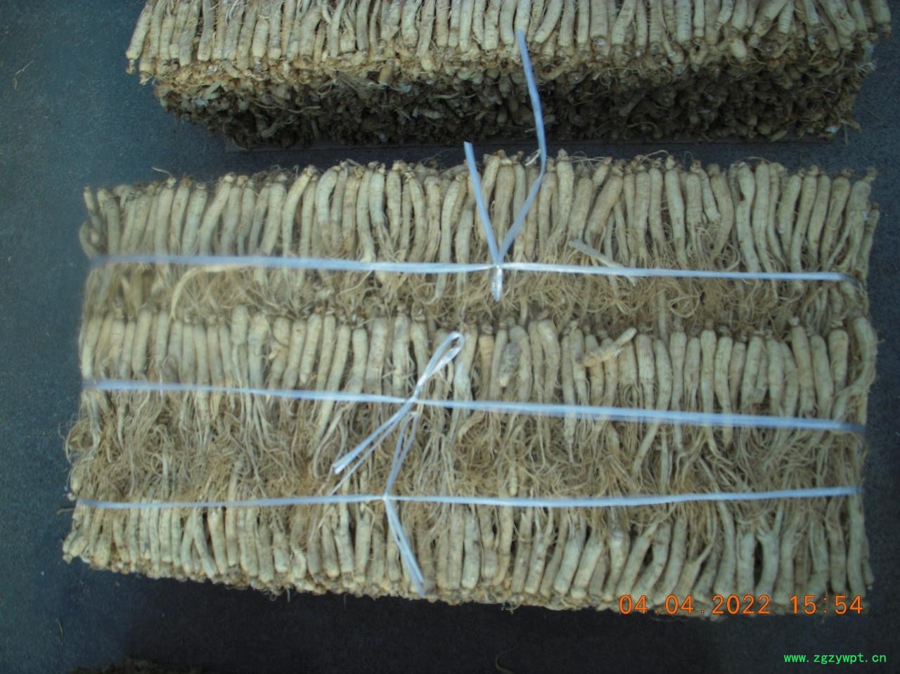 药厂人参220/KG图4