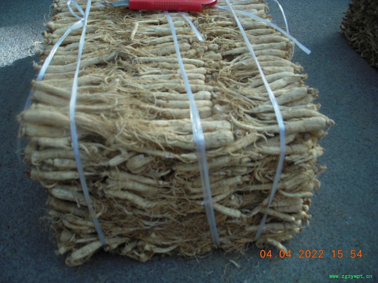 药厂人参220/KG图6