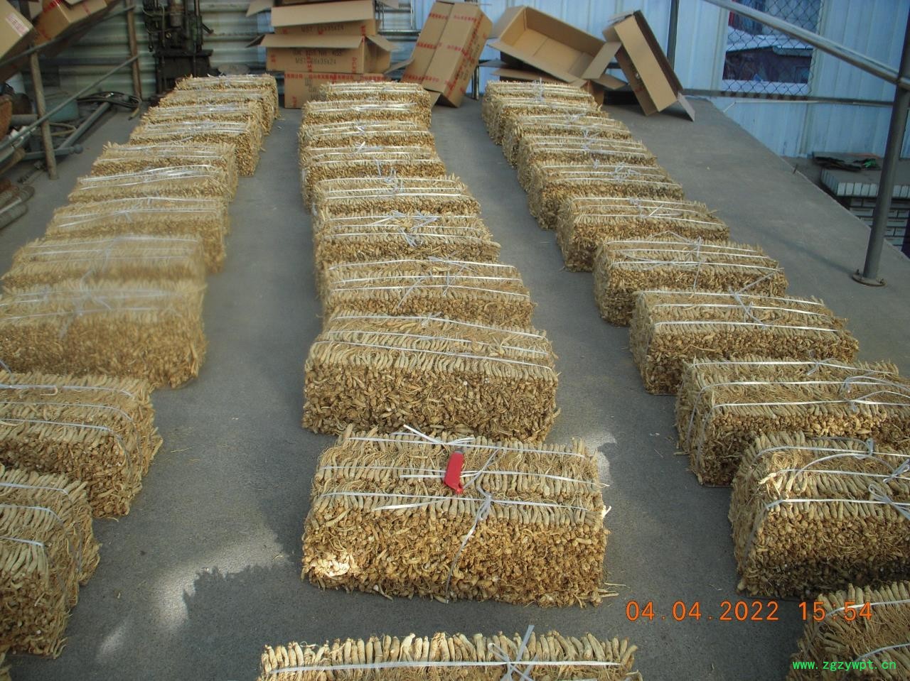 药厂人参220/KG图5