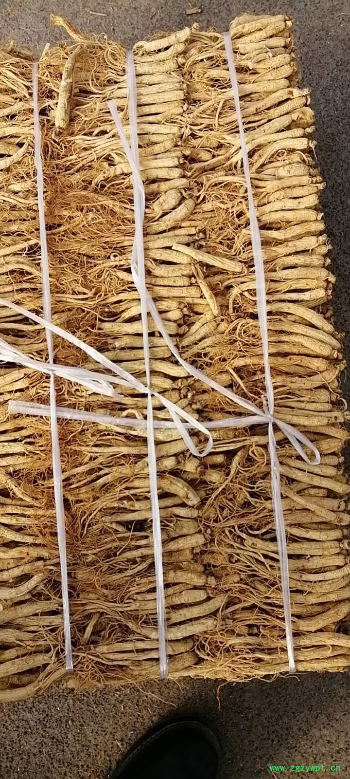 中药材图3