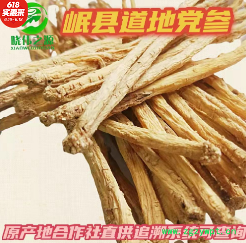 党参条批发滋补药材党参片中药材党参节批发党参产地直供段满包邮