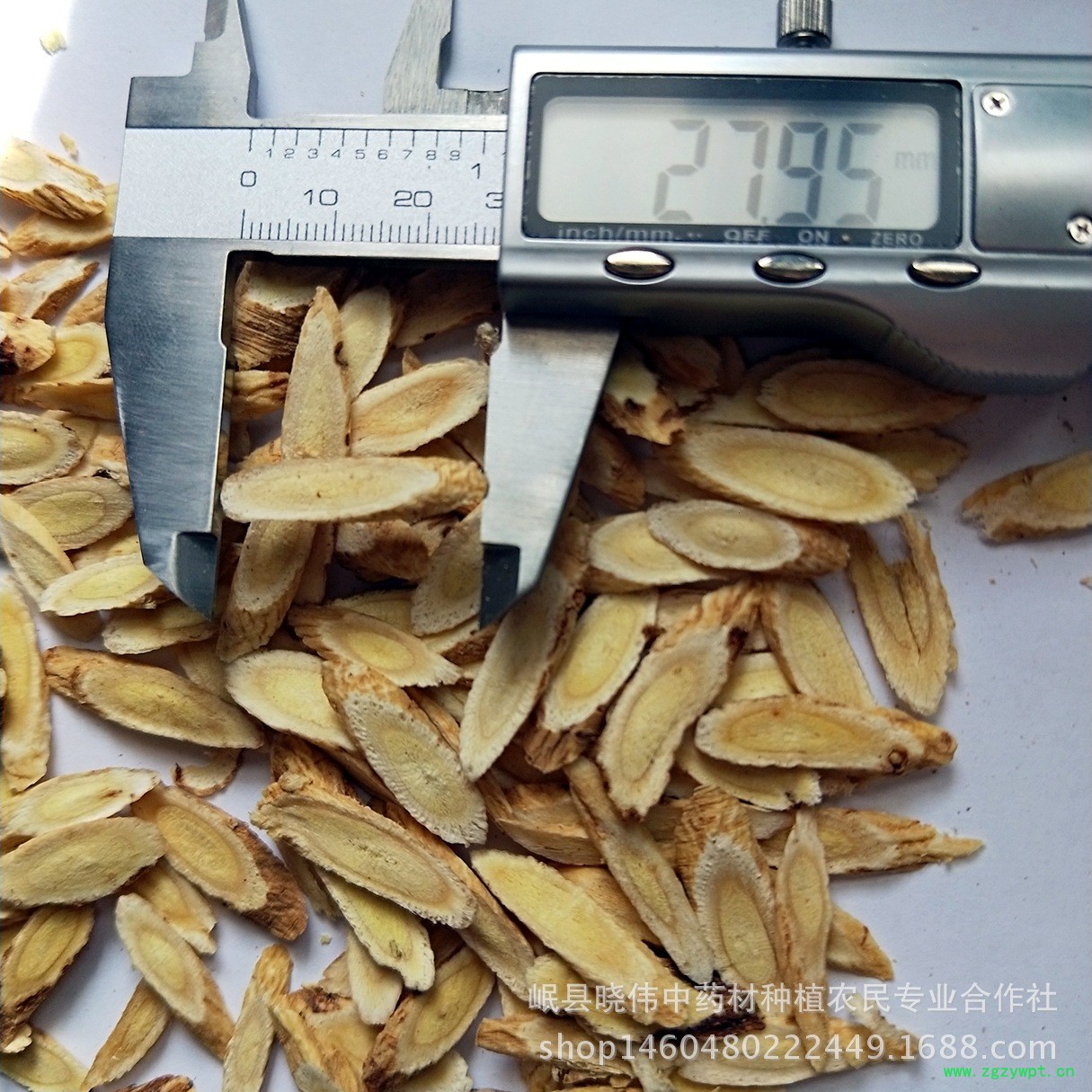 黄芪图片IMG20171217124954_mh151348