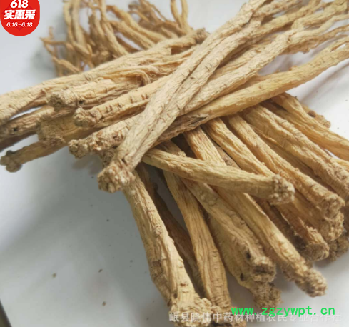 党参片罐装批发 250g甘肃岷县无硫磺党参厂家直销党参段产地直供