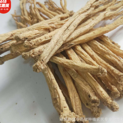 党参片罐装批发 250g甘肃岷县无硫磺党参厂家直销党参段产地直供