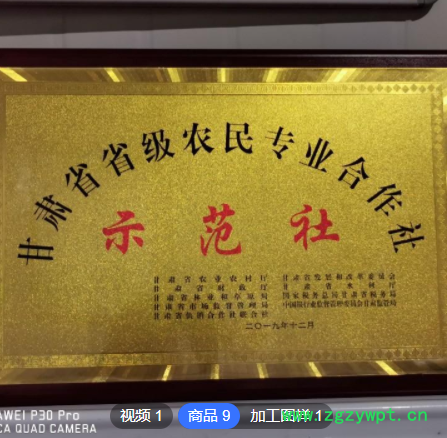 晓伟合作社 黄芪 甘肃岷县大片罐装 黄芪片煲汤泡茶 批发一件代发图2