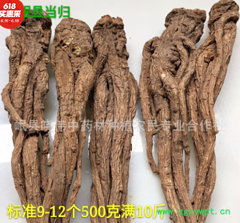 【岷县当归批发】当归条批发中药材当归粉一件代发产地直供当归片图3