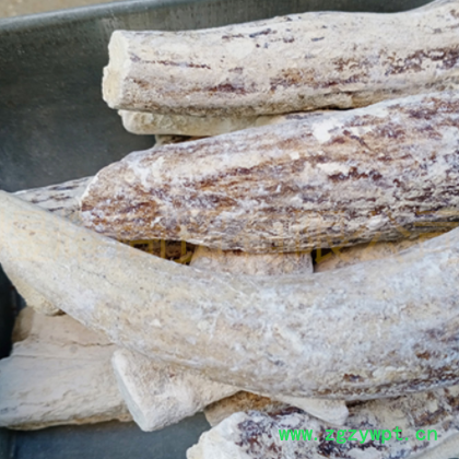 大量批发鹿角霜, 鹿角霜各种等级. ,免费打粉,可以视频看货图3