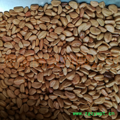 新货山楂籽,山楂核 山里红籽,枕头原料,儿童沙滩填充物图3